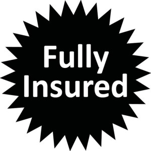 Fully_Insured