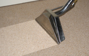 carpet cleaning