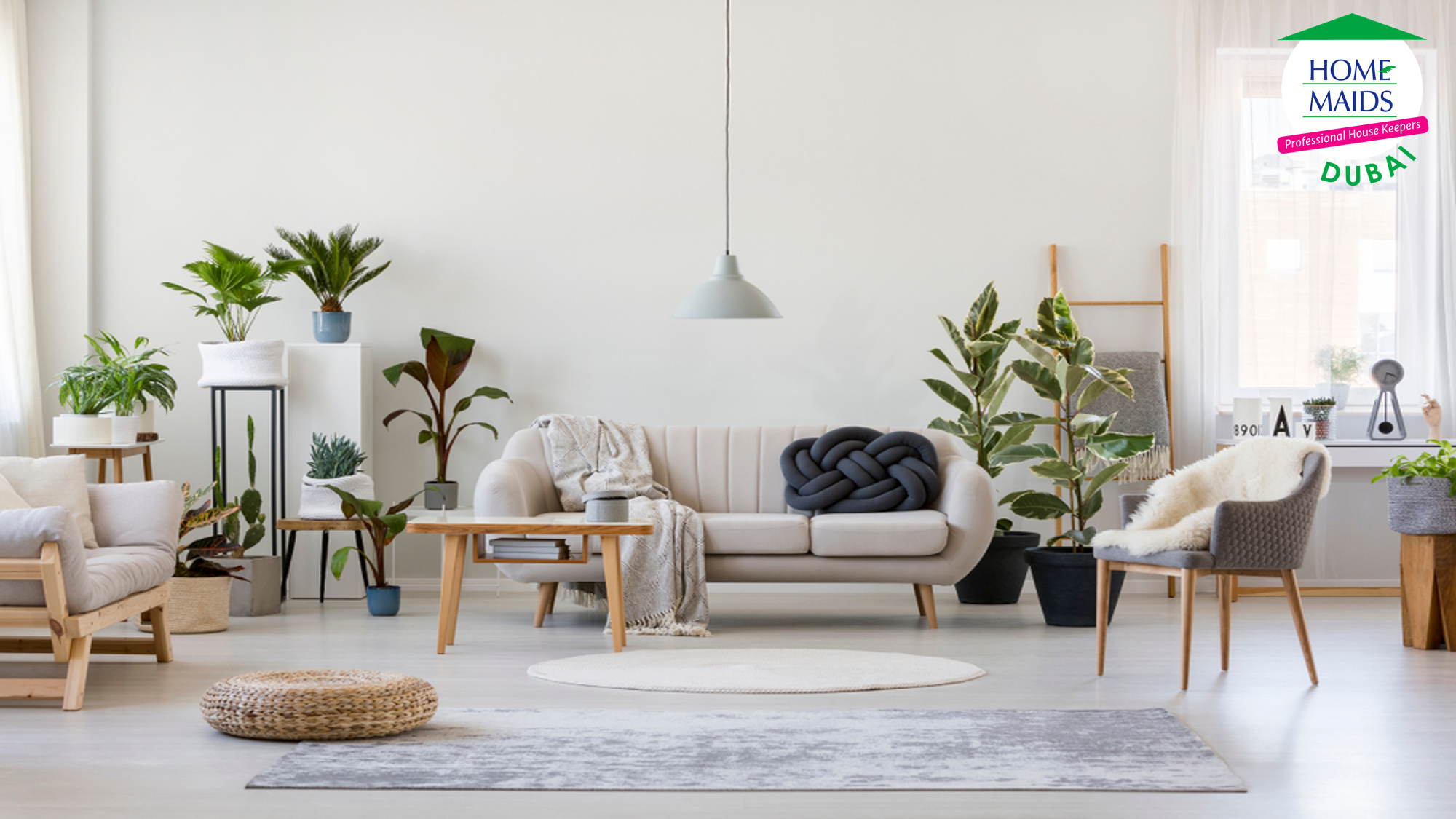 Renovations Living Room Clean And Fresh Look