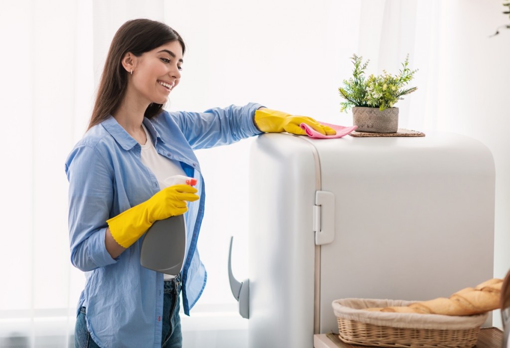 hhomemaids home cleaning