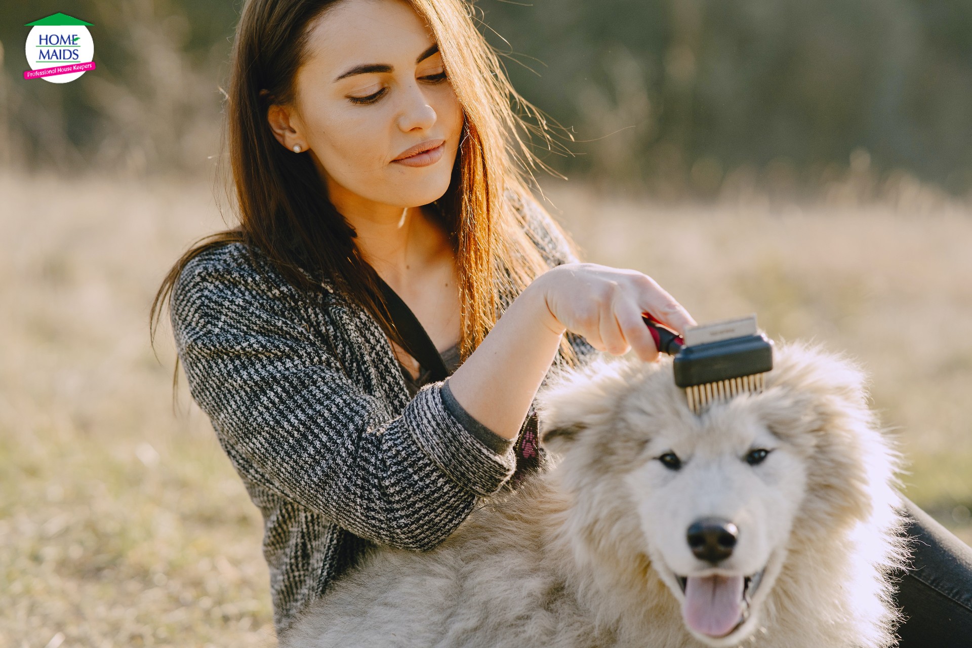 brushing fur of pets