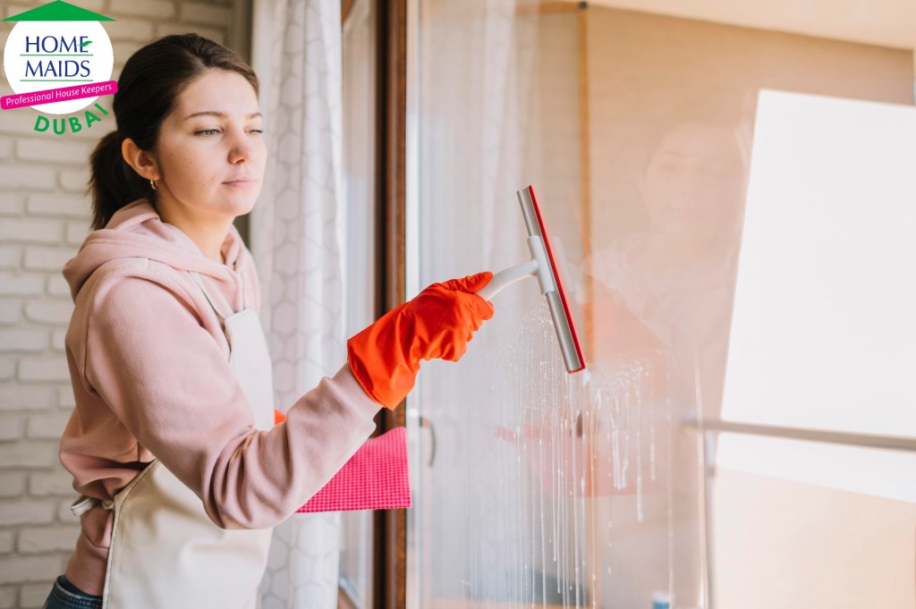 window cleaning 