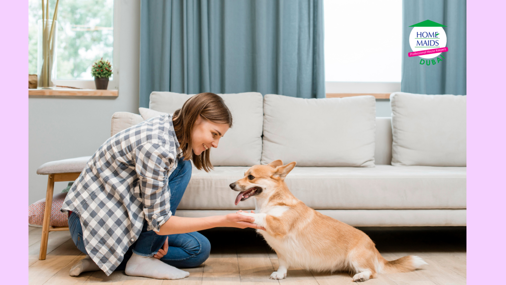 pet care services in Dubai